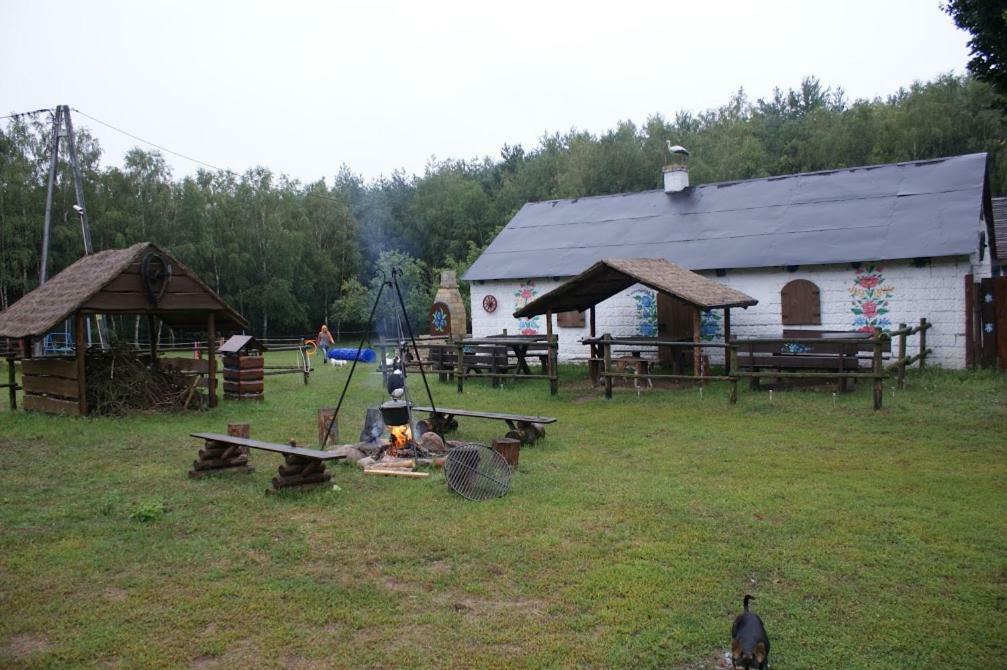 Zagroda Zalipie Гостынин Экстерьер фото