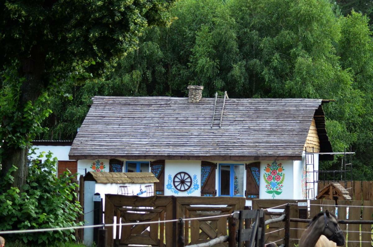 Zagroda Zalipie Гостынин Экстерьер фото